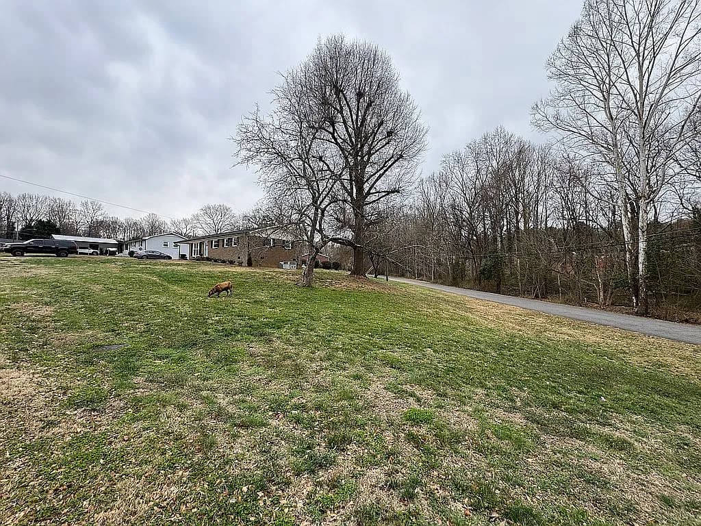 2109 Hollandale Dr — exterior photo