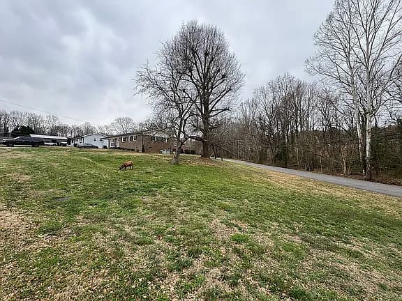2109 Hollandale Dr — exterior photo