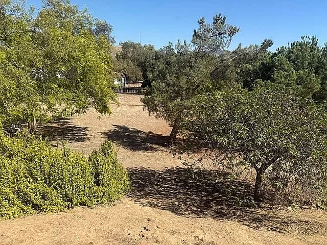 2670 Lasso Ln — exterior photo