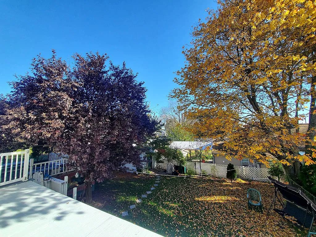 93 Hadwin St — exterior photo